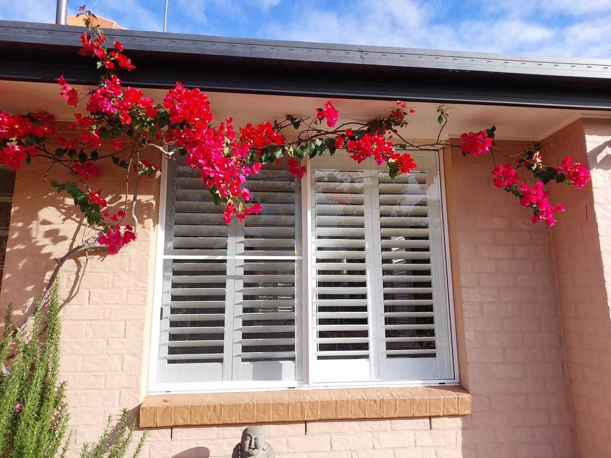 Summerhouses Noosaville Exterior foto